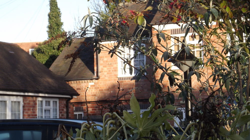 The Peacock Townhouse Hotel Kenilworth - Warwick Exterior foto